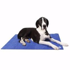 Scruffs Tapis Auto-refroidissant (XL) Bleu