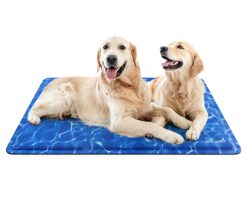 Pecute Tapis Rafraichissant Chien | XXL 140 × 90 cm, Tapis Refroidissement Chien | Non Toxique - Reste Froid Plus Longtemps, Tapis Fraicheur Chien Chat | Plus Durable - Résistant Aux Rayures